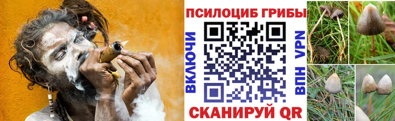 как найти закладки  Аркадак  MEGA ССЫЛКА  Галлюциногенные грибы мухоморы 